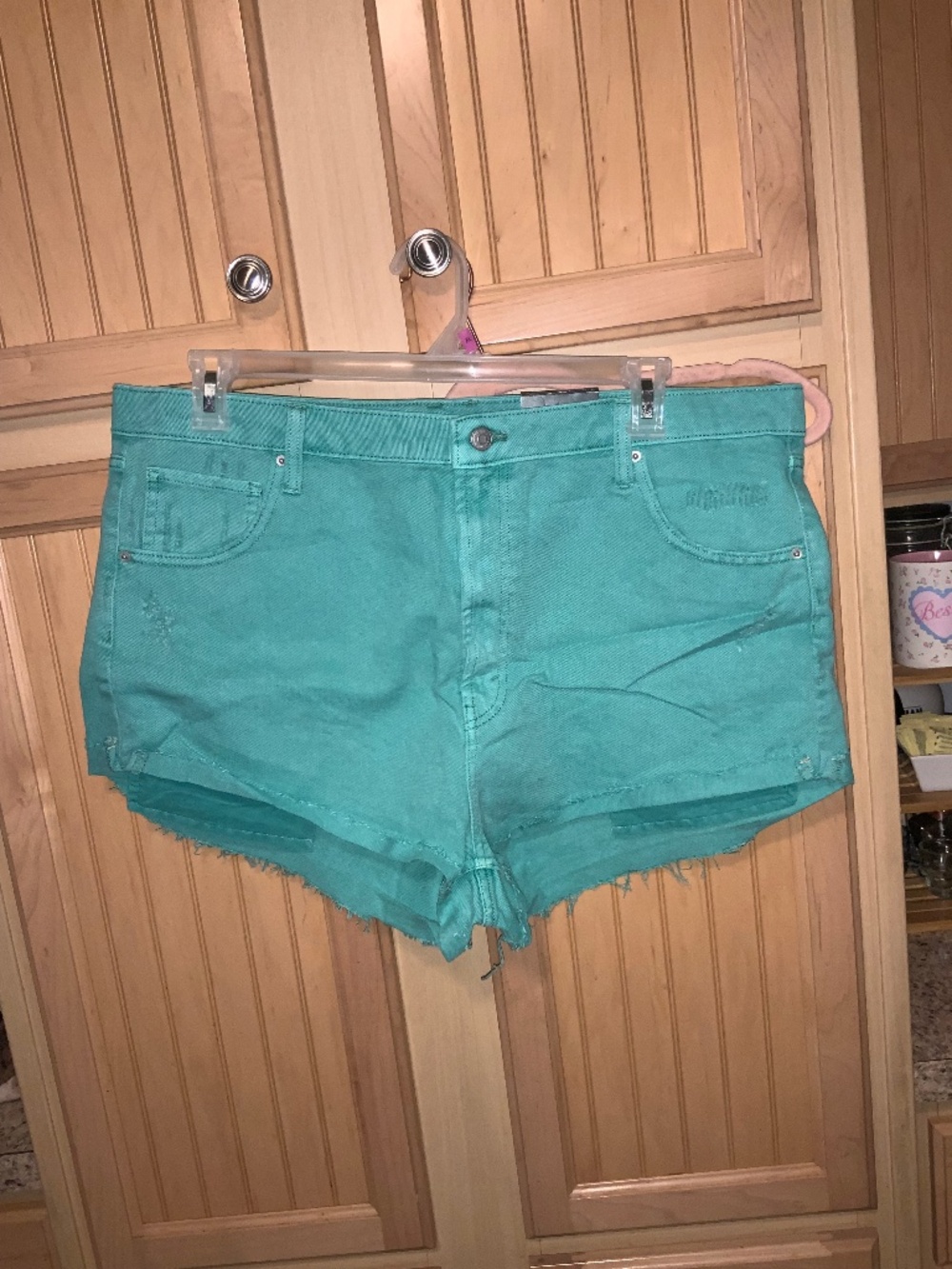 Women’s Wild Fable Turquoise Shorts NWT Size 18